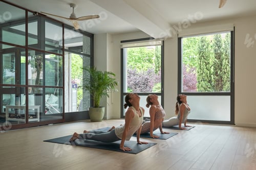 Preview: Female athletes taking Cobra pose during yoga session