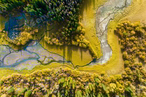 Preview: A drone view of the river in the woods. An aerial view of an autumn forest.