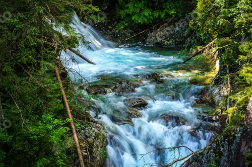 Preview: water tumbling over rocks next to a forest on a mountain