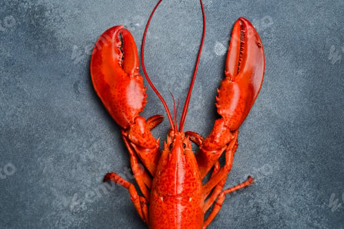 Preview: Steamed red lobsters with lemon, ready to eat. Top view. On a stone background.