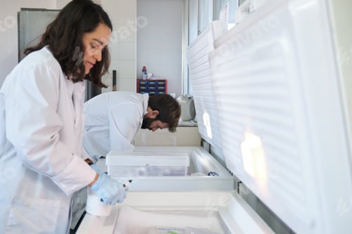 Preview: Two young researchers storing samples in the laboratory freezer.