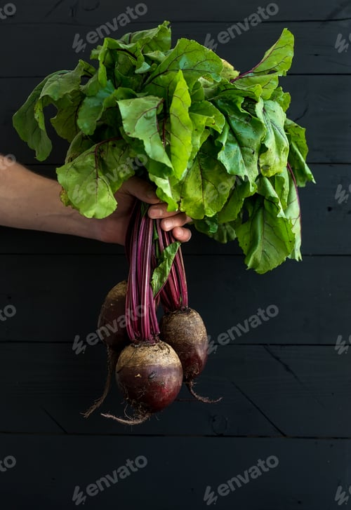 Preview: Bunch of fresh garden beetroot kept in man's hand, black wooden backdrop