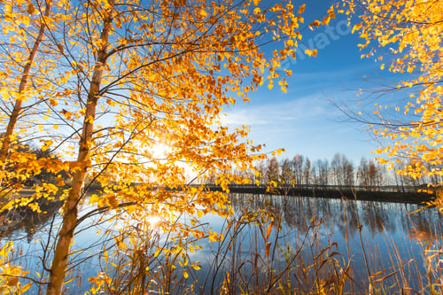 Preview: tranquil lake surrounded by orange yellow foliage lush trees in the foreground, picturesque natural
