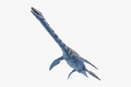 Preview: Attenborosaurus: Early Jurassic Pliosaurid
