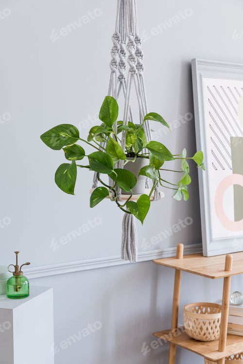 Preview: Stylish and minimalistic boho interior of living room with wooden shelf.