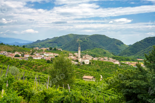 Preview: Vineyards along the Road of Prosecco e Conegliano Wines