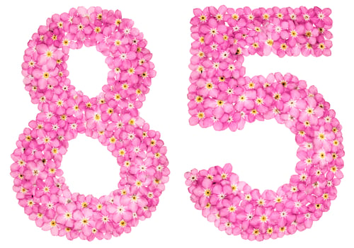 Floral Numbers: Pink Flowers Forming Eighty-Five on White
