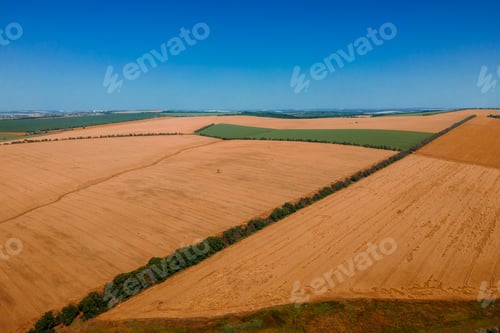 Preview: aerial view of the field with different crops.