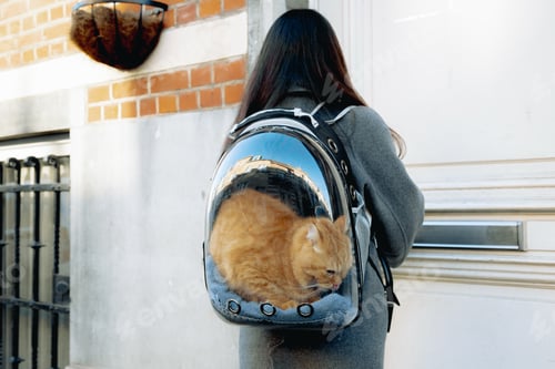 Preview: Portrait of a girl with a backpack with a cat sitting in it.
