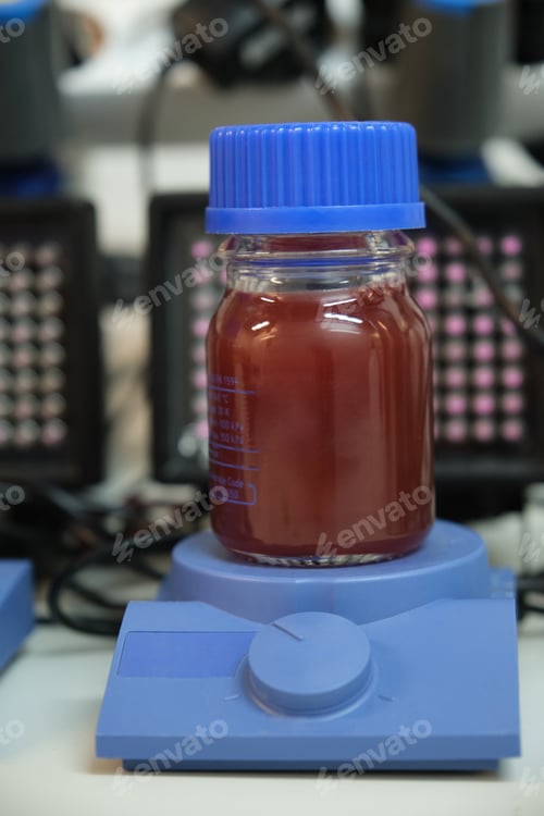 Preview: Anaerobic purple and red Photobacteria cultures illuminated with infrared illuminators