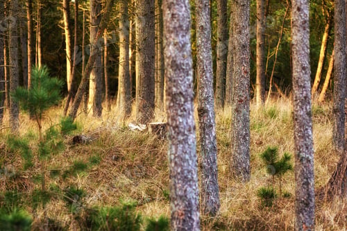 Preview: My country. Images from the Kingdom of Denmark.