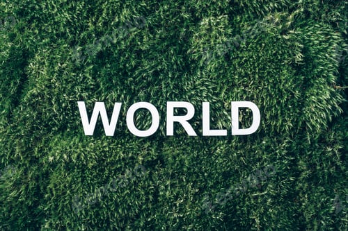 Preview: Word World on moss, green grass background. Top view. Copy space. Banner. Biophilia concept. Nature