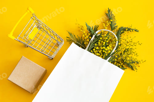 Preview: A bouquet of mimosa in a white mock up paper bag, craft gift box and a grocery cart. Spring shopping
