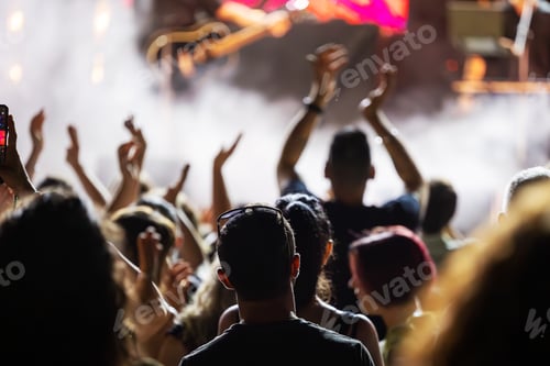 Preview: enthusiastic supporters during a musical performance
