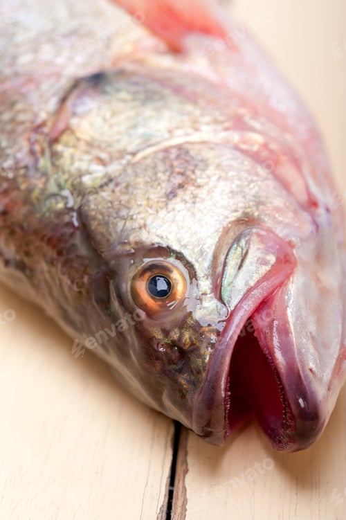 Preview: fresh whole raw fish