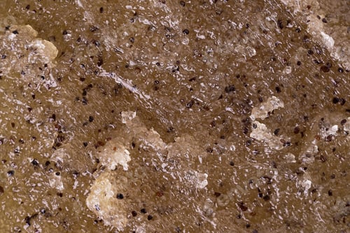 Preview: Scrub with coffee and honey texture close up.