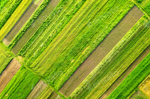 Preview: Aerial view of green agricultural fields in spring with fresh vegetation after seeding season on a