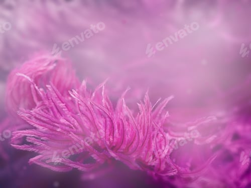Preview: Wave of Elegant Violet Textile Texture with Fine Feathers