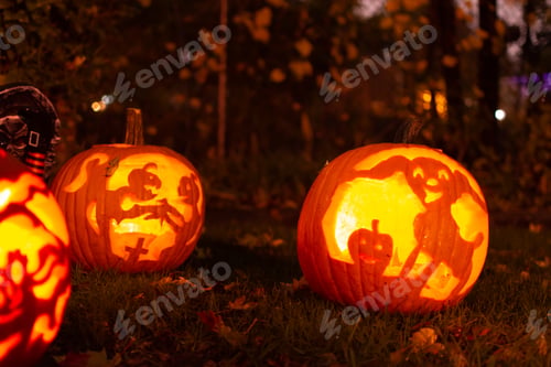 Preview: Cute Halloween jack’o’lantern carved pumpkins in residential neighbourhood with trees in background
