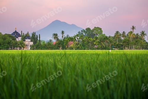Preview: A mosque in a rural landscape between rice fields and mountains