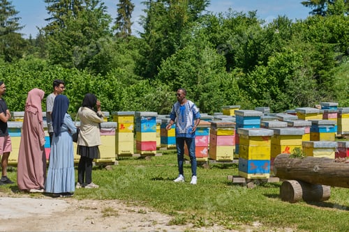 Preview: A diverse group of young friends and entrepreneurs explore small honey production businesses in the