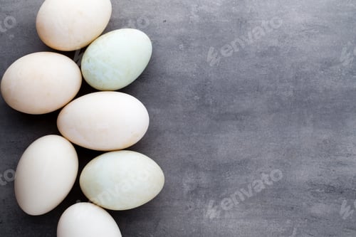 Preview: Duck eggs on a cage gray background.