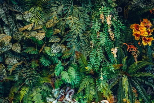 Preview: Close-up of a group of green leaves, providing a textured and abstract nature background.