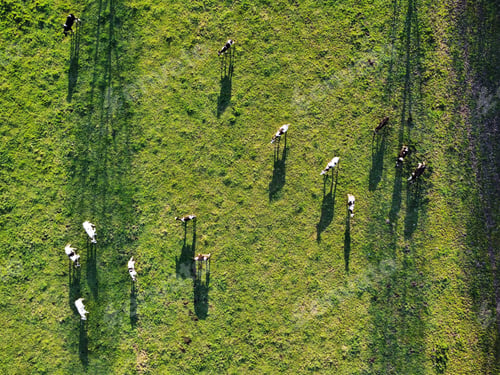 Preview: Aerial view of a spring in a country