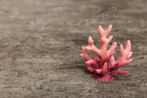 Preview: Beach seashells on colored background. Mock up with copy space