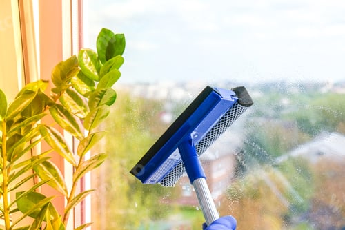 Preview: Employee hand in rubber protective glove cleans window with foam and puller. General spring cleaning
