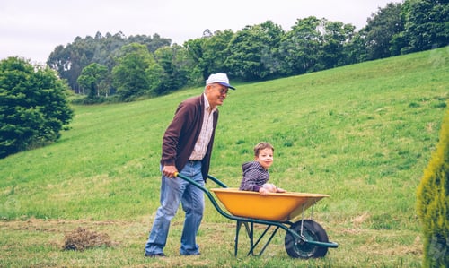 Preview: Senior man raking hay with pitchfork on field