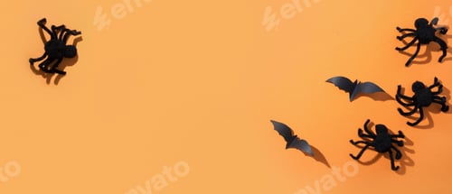 Preview: Halloween border of spiders and bat. Creative Halloween Day composition.