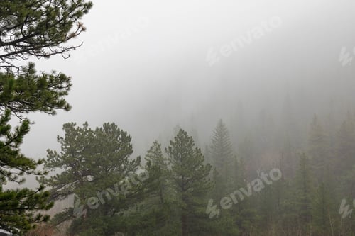 Preview: Early foggy morning in the morning