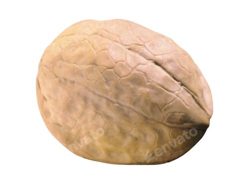 Preview: Walnut isolated on white
