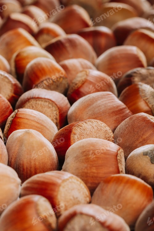 Preview: Closeup of some unopened hazelnuts