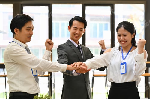 Preview: Overjoyed businesspeople stacking hands together, celebrating completion of project.