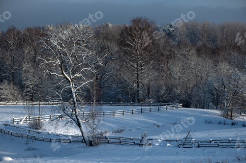 Preview: Snow-covered trees and wooden fence, blue sky, winter contrasts