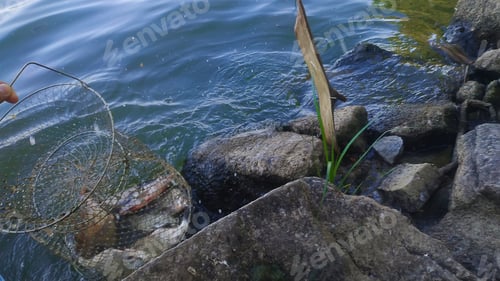 Preview: Fishing tackle. rest nature, fish, hooks, spinning. Selective focus