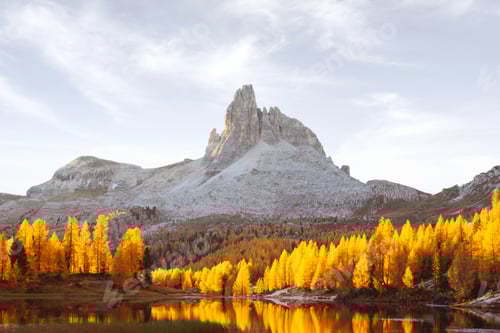 Preview: Bright orange larches glowing by first rays of sunrise light on Federa Lake