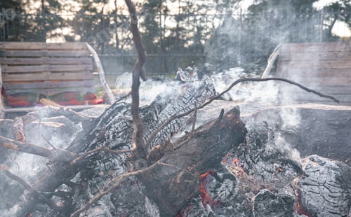 Preview: Close-up of large logs of a tree in a dying fire.