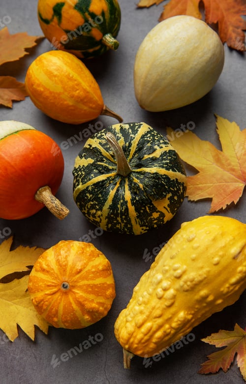 Preview: Autumn gourds and leaves creating a seasonal still life