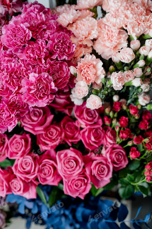 Preview: Pink and peach carnations with pink roses in a flower shop