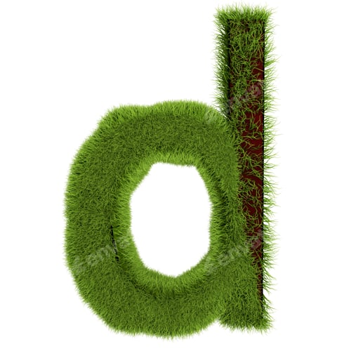 Preview: Green Grass Letter D isolated On White Background. Font For Your Design. 3D Illustration