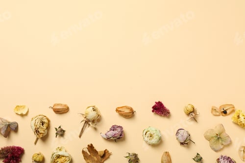 Preview: Dried flower buds on beige background, space for text