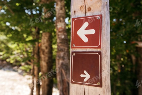 Preview: Forest hiking trail direction arrow signs