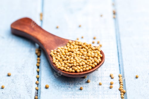 Preview: Yellow mustard seeds.
