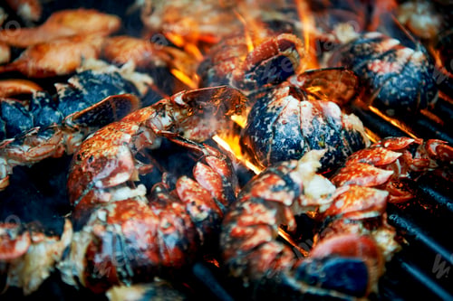 Preview: Cropped view of charred shellfish cooking on barbecue