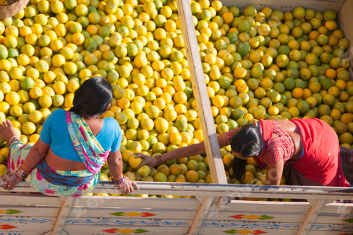 Preview: Women sorting orange for packaging