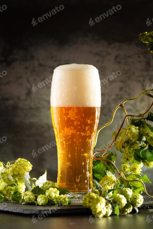 Preview: Glass of light beer with hops around on a dark background