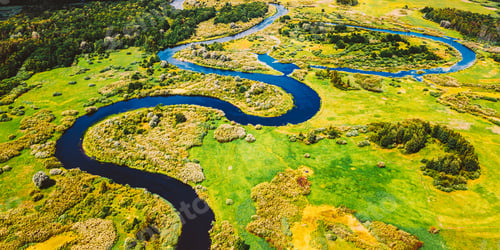 Preview: Aerial View Green Forest Woods And River Landscape In Sunny Spring Summer Day. Top View Of Beautiful